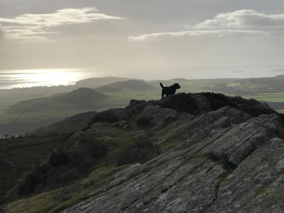 Gorffwysfa Cottage, Garnfadryn, Nr Abersoch Dinas  外观 照片